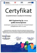 Certificate of participation in the audit of innovation