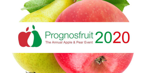 The WAPA announced apple crop forecast for 2021